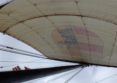 Neues Leben im alten Baumhaus