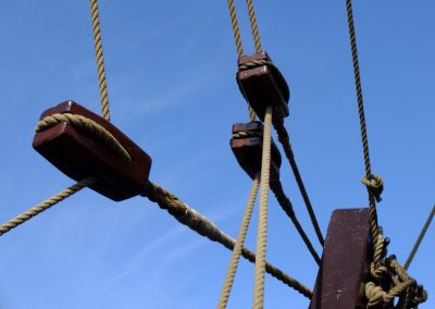 Neues Leben im alten Baumhaus
