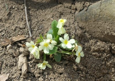 Naturpark Sparbach