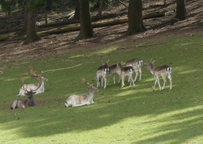 Naturpark Sparbach