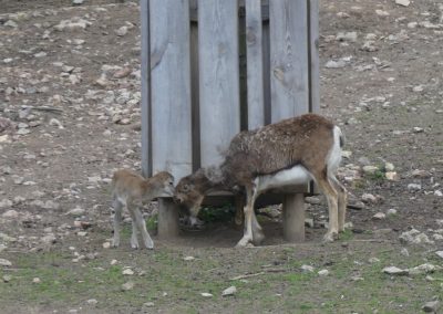 Naturpark Sparbach