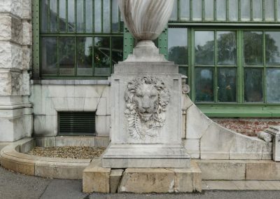 Das Schmetterlingshaus in Wien - schön, aber (zu) klein