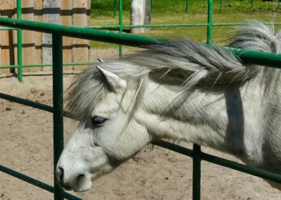 Mecklenburger Tierparkkultur