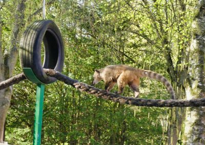 Mecklenburger Tierparkkultur
