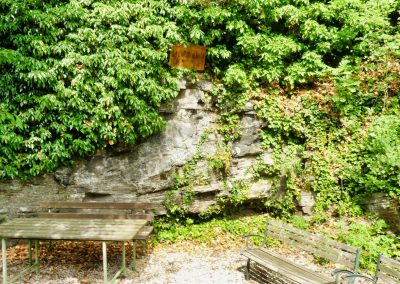 Virtueller Rundgang in der Burgruine Senftenberg