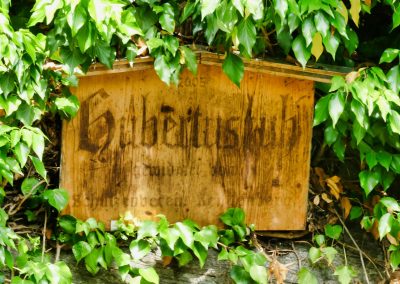 Virtueller Rundgang in der Burgruine Senftenberg