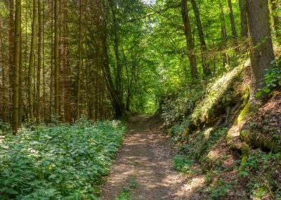 Abenteuerliche Wanderung zur Ruine Schimmelsprung