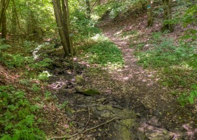 Abenteuerliche Wanderung zur Ruine Schimmelsprung