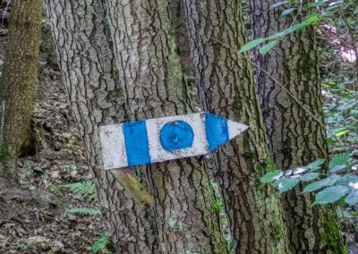 Abenteuerliche Wanderung zur Ruine Schimmelsprung