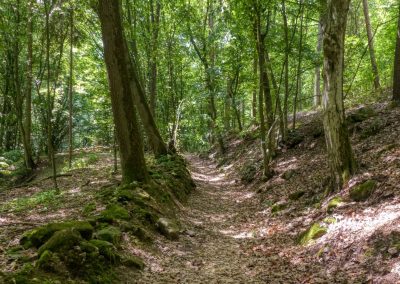 Abenteuerliche Wanderung zur Ruine Schimmelsprung