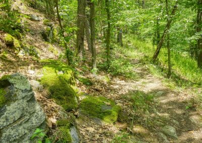 Abenteuerliche Wanderung zur Ruine Schimmelsprung