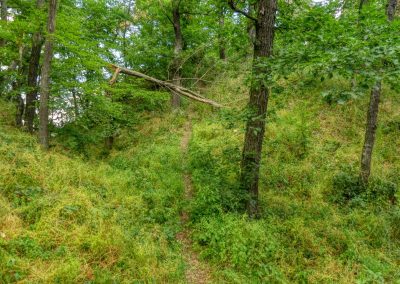 Abenteuerliche Wanderung zur Ruine Schimmelsprung