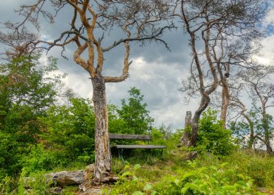 Abenteuerliche Wanderung zur Ruine Schimmelsprung