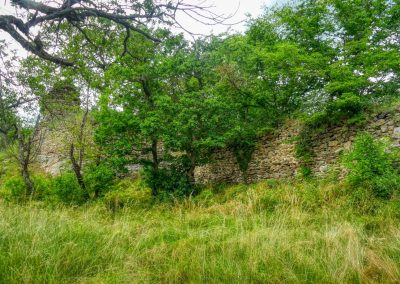 Abenteuerliche Wanderung zur Ruine Schimmelsprung