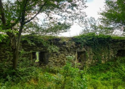 Abenteuerliche Wanderung zur Ruine Schimmelsprung
