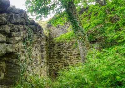 Abenteuerliche Wanderung zur Ruine Schimmelsprung
