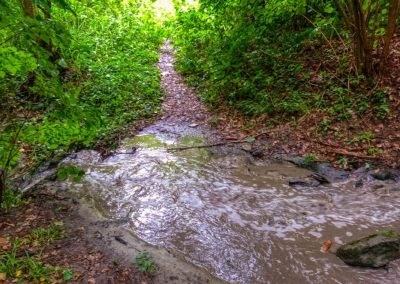 Abenteuerliche Wanderung zur Ruine Schimmelsprung