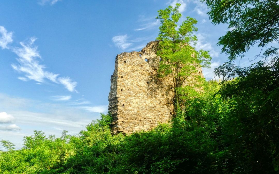 Morgenwanderung zur Schonenburg