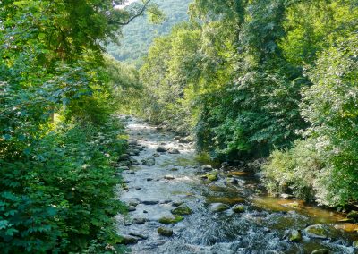 Von Hexen und Prinzen - eine Wanderung im Bodetal