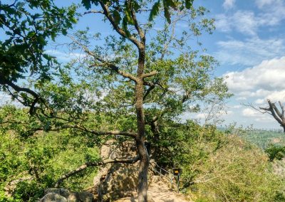 Von Hexen und Prinzen - eine Wanderung im Bodetal