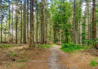 Von Hexen und Prinzen - eine Wanderung im Bodetal