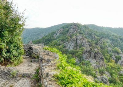 P1200813 72 DxOVP