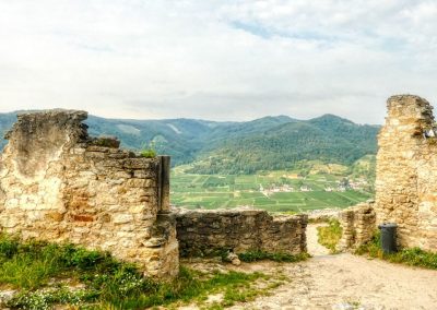 P1200901 100 DxOVP
