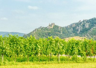 Wanderung zur Ruine Dürnstein - mit vielen Panorama-Fotos!