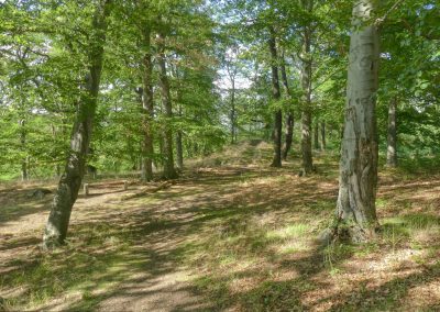 Abenteuerliche Wanderung zur Ruine Luisenburg