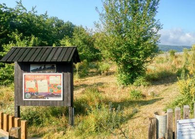 Kurz und spektakulär: Eine morgentliche Wanderung zur Teufelsmauer bei Weddersleben