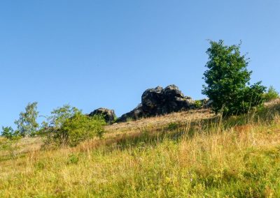 Kurz und spektakulär: Eine morgentliche Wanderung zur Teufelsmauer bei Weddersleben