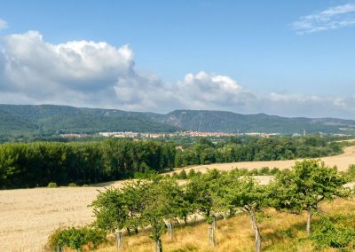 Kurz und spektakulär: Eine morgentliche Wanderung zur Teufelsmauer bei Weddersleben