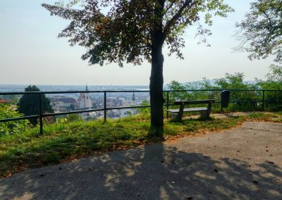 Der Hausberg der Kremser - zu jeder Tageszeit schön!