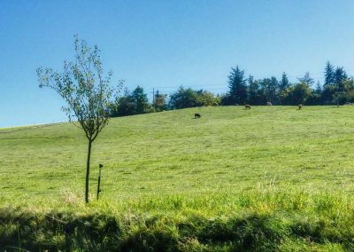 Von Egelsee zur Weiglwarte - die weniger bekannten Seiten von Krems und Dürnstein