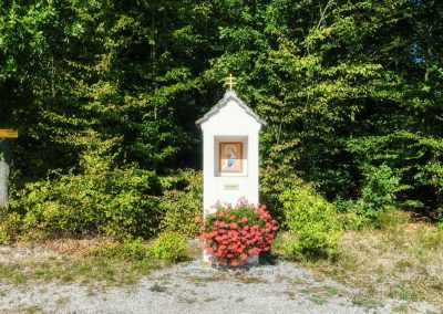 Von Egelsee zur Weiglwarte - die weniger bekannten Seiten von Krems und Dürnstein