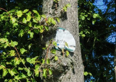 Von Egelsee zur Weiglwarte - die weniger bekannten Seiten von Krems und Dürnstein