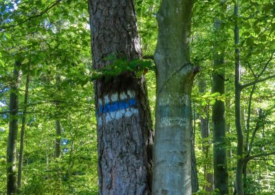 Von Egelsee zur Weiglwarte - die weniger bekannten Seiten von Krems und Dürnstein