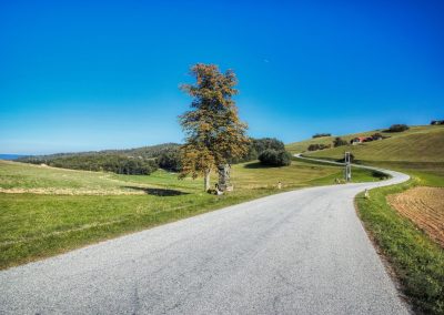 Von Egelsee zur Weiglwarte - die weniger bekannten Seiten von Krems und Dürnstein