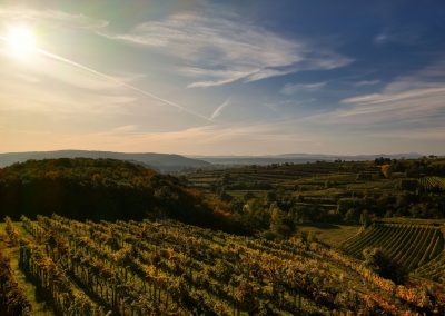 Der "Korkenzieher" - wundervoller Ausblick auf 5 Bezirke!