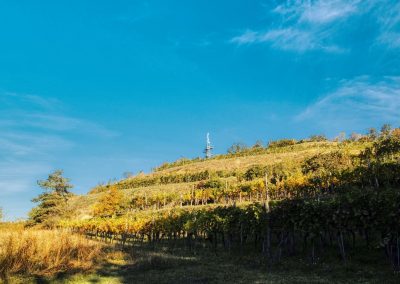 Der "Korkenzieher" - wundervoller Ausblick auf 5 Bezirke!