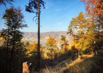 toter berg 019