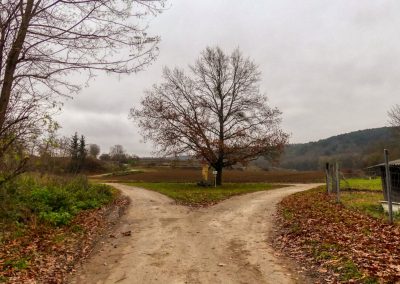 "tut gut" Wanderweg Grafenegg - Route 4: Zum fünfeckigen Stein