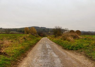 "tut gut" Wanderweg Grafenegg - Route 4: Zum fünfeckigen Stein