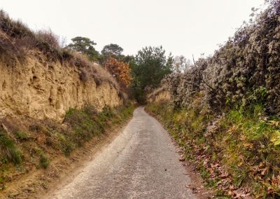 "tut gut" Wanderweg Grafenegg - Route 4: Zum fünfeckigen Stein