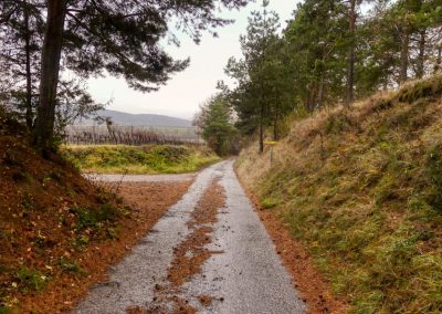 "tut gut" Wanderweg Grafenegg - Route 4: Zum fünfeckigen Stein