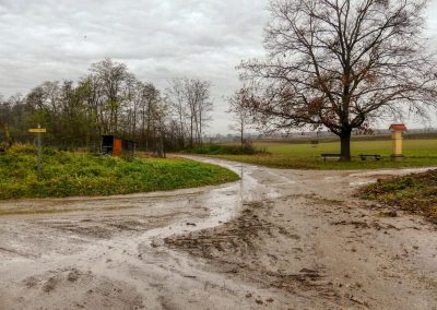 "tut gut" Wanderweg Grafenegg - Route 4: Zum fünfeckigen Stein