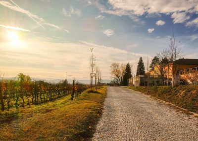 Wanderung durch Österreichs längste Kellergasse