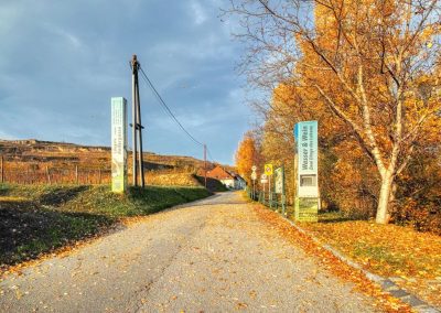 Wanderung durch Österreichs längste Kellergasse