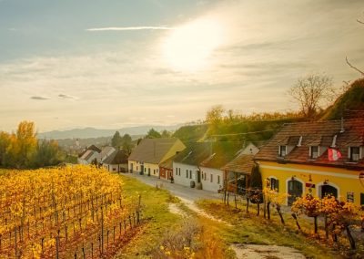 Wanderung durch Österreichs längste Kellergasse