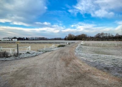 "tut gut" Wanderweg Grafenegg - Route 2: Den Kamp entlang